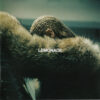 Beyonce - Lemonade (CD+DVD, Ed. 2016)