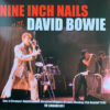 Nine Inch Nails With David Bowie Live At Riverport Amphitheater Maryland Heights St Louis Monday 11th October 1995 FM Broadcast LP Album