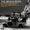 The Beach Boys Icon CD