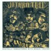 Jethro Tull Stand Up CD Album