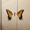 Paramore - Brand New Eyes (Vinilo, Ed. USA, Canada & Europe, 2015)