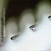 Steve Hogarth Not The Weapon But The Hand CD Album