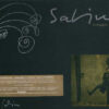 Joaquin Sabina Vinagre Y Rosas CD Album