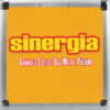 Sinergia Grandes Exitos Del Metal Pajaro CD Album