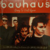 Bauhaus - Going To Hell Again Live At The Old Waldorf, San Francisco 1982 (Vinilo, Ed. Europe, 2025)