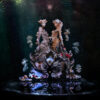 Bjork Oral LP Album