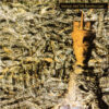 Siouxsie & The Banshees - Juju (CD, Ed. Europe, 2006)