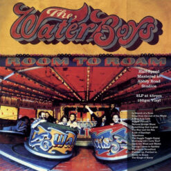 The Waterboys - Room To Roam (Vinilo, 2 LP, Ed. Europe, 2021)