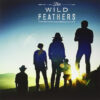 The Wild Feathers Got It WrongMarie LP Album