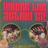 Various - Where The Action Is! (Los Angeles Nuggets Highlights) (Vinilo, 2 LP, Ed. USA & Europe, 2019)