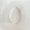 Wilco A Ghost Is Born CD Album