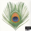 XTC Apple Venus Volume One LP Album