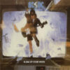 AC/DC - Blow Up Your Video (CD)