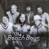 The Beach Boys The Beach Boys LP Album