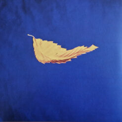 New Order - True Faith / 1963 (Vinilo, Ed. 2023)